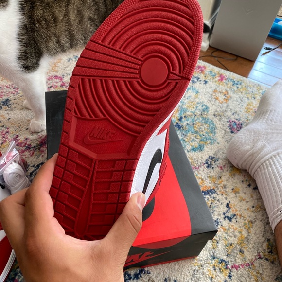 Jordan 1 2015 Chicago Size 11 main image 11